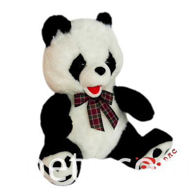 Plüschpanda plush panda